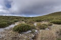 High-mountain scrublands of Cytisus oromediterraneus