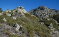 High-mountain scrublands in Guadarrama Mountains