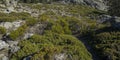 High-mountain scrublands in Guadarrama Mountains