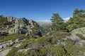 High-mountain scrublands in Guadarrama Mountains