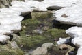 High mountain stream in spring