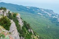 A high mountain with trees, which offers a beautiful view.