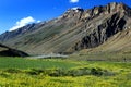 High mountain valley and flower field in Northern India Royalty Free Stock Photo