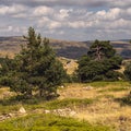 High Mountain View in Gudar Javalambre, Spain