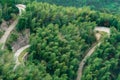 The high mountain winding road in the bamboo forest