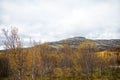 High mountains. Fall in Iceland. Landscape view with grass field in Iceland. Autumn landscape cloudy day. Climate Royalty Free Stock Photo