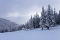 High on the mountains in the forest covered with snow there is lonely old wooden hut. Royalty Free Stock Photo