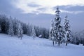 High on the mountains in the forest covered with snow there is lonely old wooden hut. Royalty Free Stock Photo