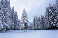 High on the mountains in the forest covered with snow there is lonely old wooden hut standing with fence on the lawn. Royalty Free Stock Photo