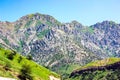 High mountains with green grass and trees against the blue sky on a summer day. Beautiful tranquil countryside landscape Royalty Free Stock Photo