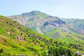 High mountains with green grass and trees against the blue sky on a summer day. Beautiful tranquil countryside landscape Royalty Free Stock Photo