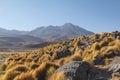 High mountains landscape in Potosi, Bolivia. Rock formations