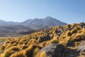 High mountains landscape in Potosi, Bolivia. Rock formations