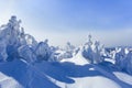 High on the mountains, on the lawn stand trees covered with snow, which look as ice sculptures. Textured forms. Landscape. Royalty Free Stock Photo