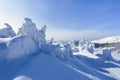 High on the mountains, on the lawn stand trees covered with snow, which look as ice sculptures. Textured forms. Landscape.