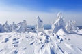 High on the mountains, on the lawn stand trees covered with snow, which look as ice sculptures. Textured forms. Landscape. Royalty Free Stock Photo