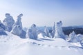 High on the mountains, on the lawn stand trees covered with snow, which look as ice sculptures. Textured forms. Landscape. Royalty Free Stock Photo