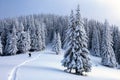 High on the mountains the man is going on the snowy fields and forests in cold snowy day. Royalty Free Stock Photo