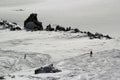 High mountains off-piste slopes for freeride with traces of skis and snowboards, sunny winter day, Caucasus Mountains, Elbrus Royalty Free Stock Photo