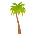 High palm tree icon, cartoon style Royalty Free Stock Photo