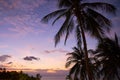 High palm trees on the background of the purple sky at sunset Royalty Free Stock Photo