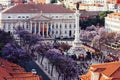 High perspective view of Rossio Square in Baixa district of Lisbon city, Portugal covered with violet Jacaranda leaves