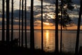 Sunset over the lake in a pine forest. Bright colors of the evening sky Royalty Free Stock Photo