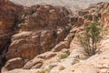 High Place of Sacrifice. Petra, Jordan Royalty Free Stock Photo