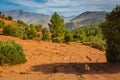 High plateau in the Atlas Mountains, Morocco. Royalty Free Stock Photo