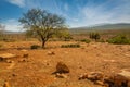 High plateau in the Atlas Mountains, Morocco. Royalty Free Stock Photo