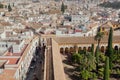 High point view on cityscape of Cordoba with Mezquita garden, white houses and tile roofs, Andalusia of Spain