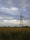 High power line support in an open field among tall uncut grass at sunset Royalty Free Stock Photo