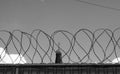 Prison fence with barbed wire