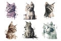 watercolor cat vector illustration Royalty Free Stock Photo