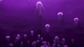 Purple jellyfish sea jelly peacefully swimming deep dark ocean aquarium 4k loop