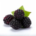 High Quality Blackberry Product Photography On White Background Royalty Free Stock Photo