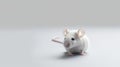 High Quality Close-up Photo Of White Rat On Grey Background