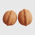 High quality 3d rendering of two walnuts isolated on transparent background Royalty Free Stock Photo
