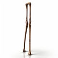 High-quality 3d Walking Stick On White Isolated Background Image Royalty Free Stock Photo