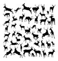 Deer animal silhouettes Royalty Free Stock Photo