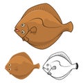 High Quality Flatfish Cartoon Character Include Flat Design and Line Art Version Royalty Free Stock Photo