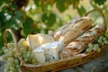 Gourmet Picnic Basket with Cheese and Baguettes, Outdoor Dining Concept Royalty Free Stock Photo