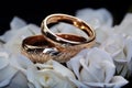 High quality image portrays love and family symbolism with focused wedding rings