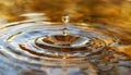High quality image of water ripples in a pond capturing the beauty of dripping water waves Royalty Free Stock Photo
