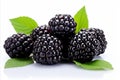 High quality isolated blackberry fruit on white background for advertising and commercial use
