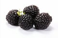 High quality isolated blackberry fruit on white background for advertising and promotional materials