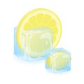 High Quality Isolated Lemon Slice In Ice Cube