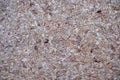 Cork tree texture, close up view Royalty Free Stock Photo