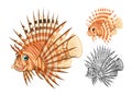 High Quality Lionfish Cartoon Character Include Flat Design and Line Art Version