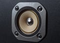 High quality loudspeakers.Hifi sound system in shop for sound recording studio.Professional hi-fi cabinet speaker box.Audio Royalty Free Stock Photo